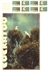 Picture of Cockatoo - L - 1.0 - DTF A3