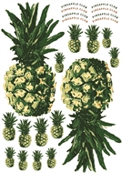 Afbeelding van Pineapples for bag, keychains and garments - DTF A3 - for DIY